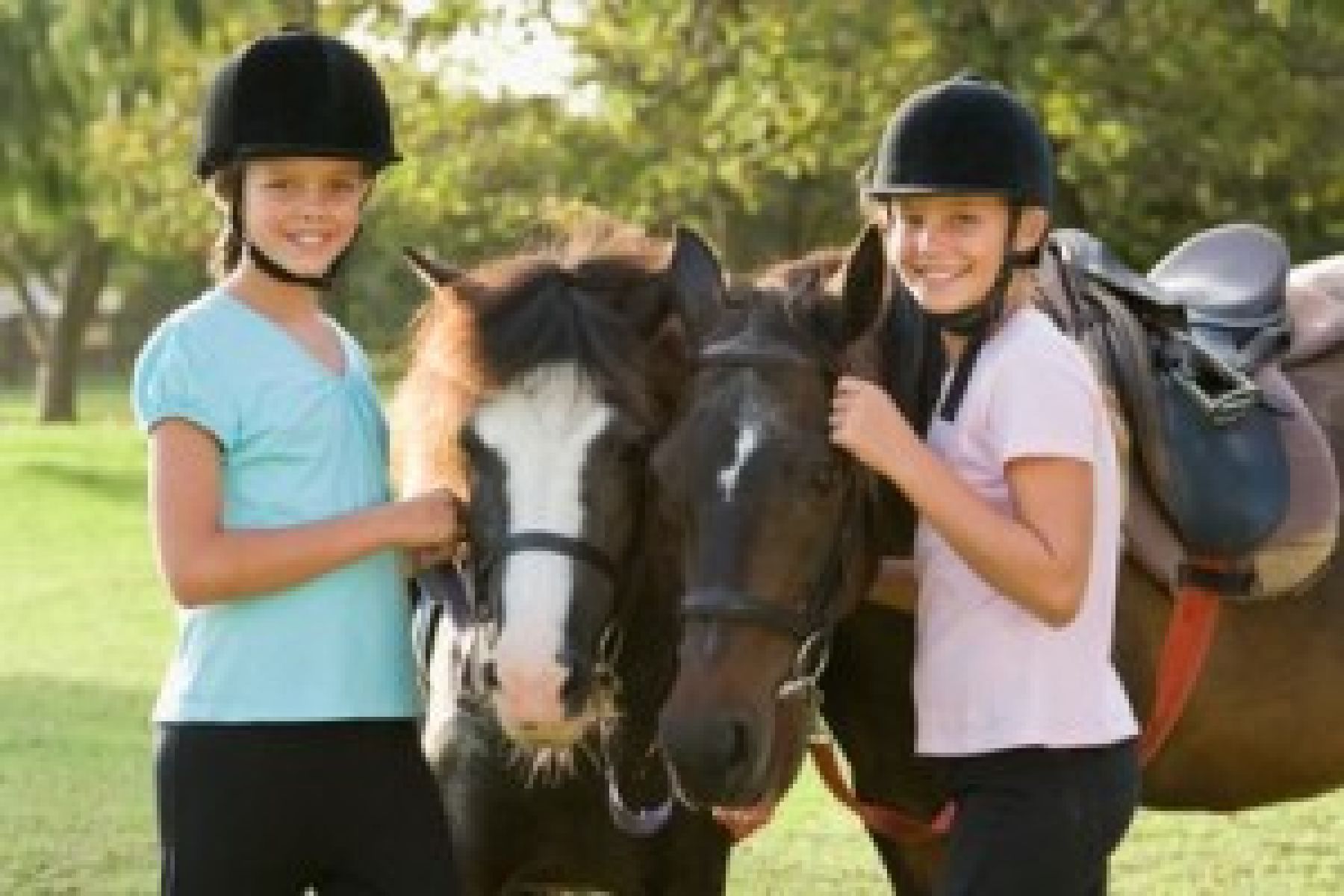 Equitation/activités créatrices Stages enfants Vielsalm été Sport